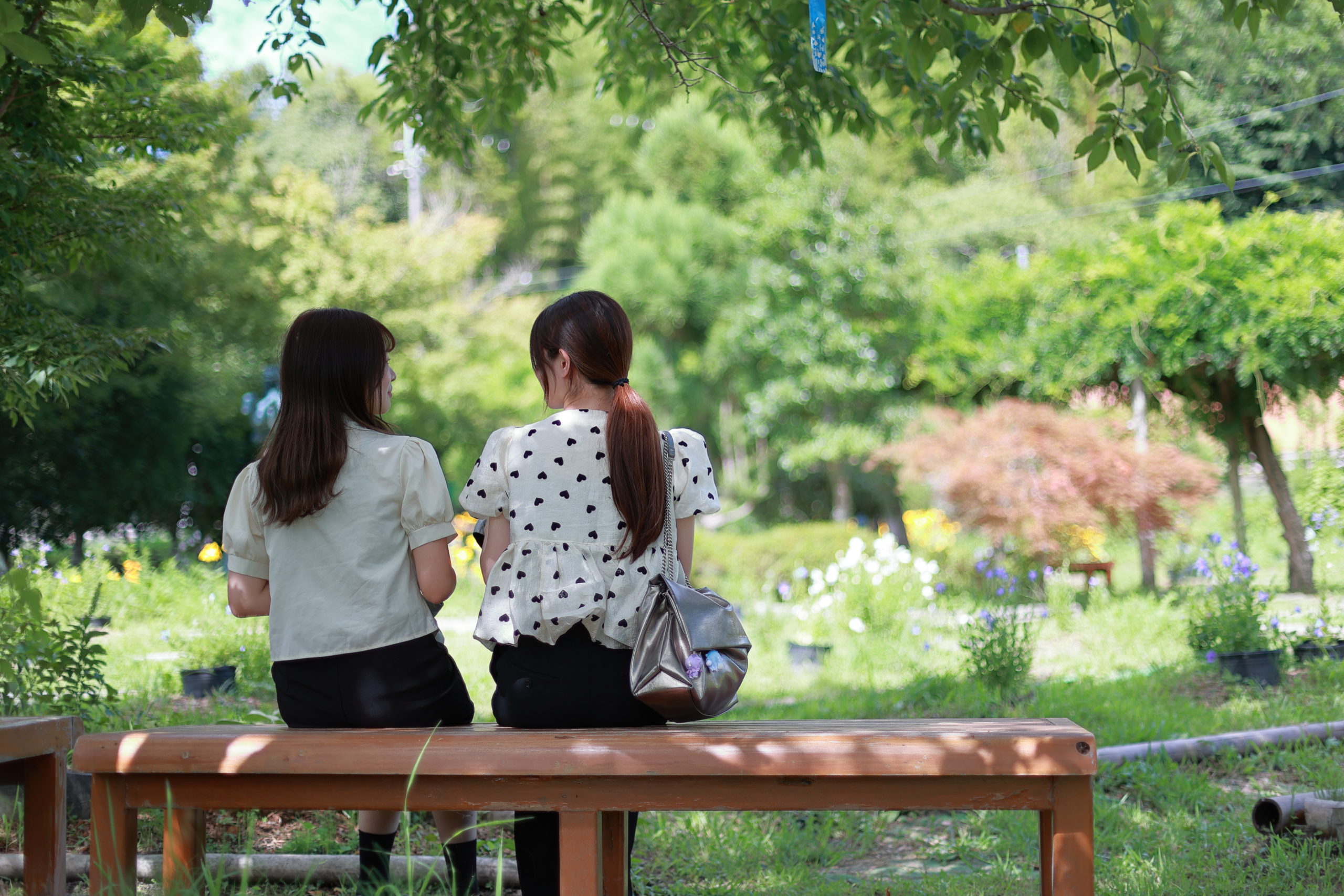 亀岡の「丹波かめおか光秀物語 ききょうの里」を訪れました！